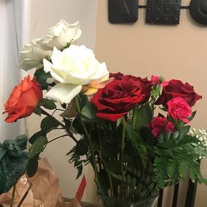 Meet your Posher, Manuela